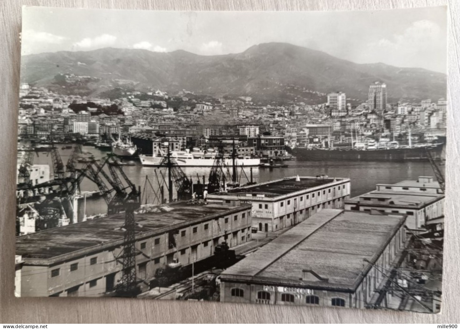 GENOVA - Panorama - Genova (Genoa)