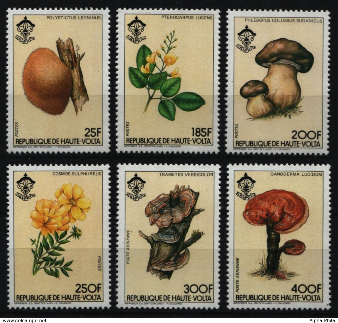 Obervolta 1984 - Mi-Nr. 950-955 A ** - MNH - Pilze / Mushrooms - Obervolta (1958-1984)