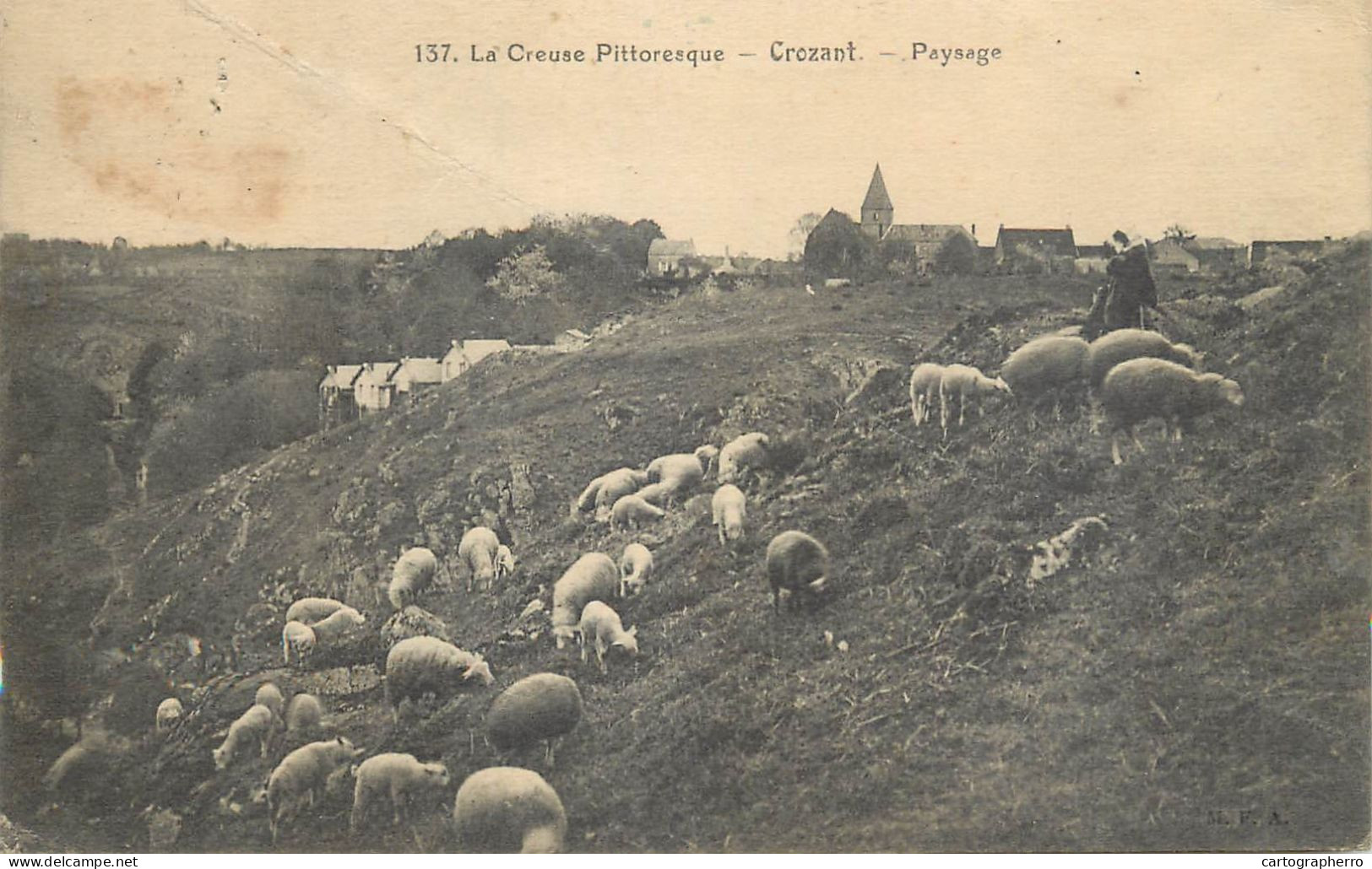 CPA France Crozant Sheep Heard - Crozant