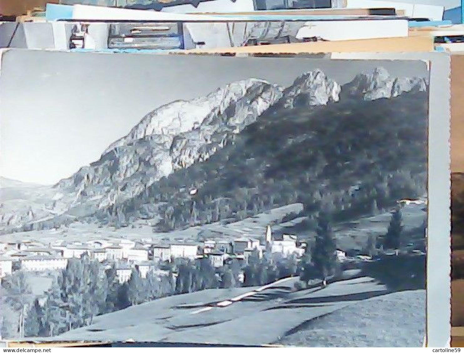 LAGGIO DI CADORE V1951 JV6447 - Belluno