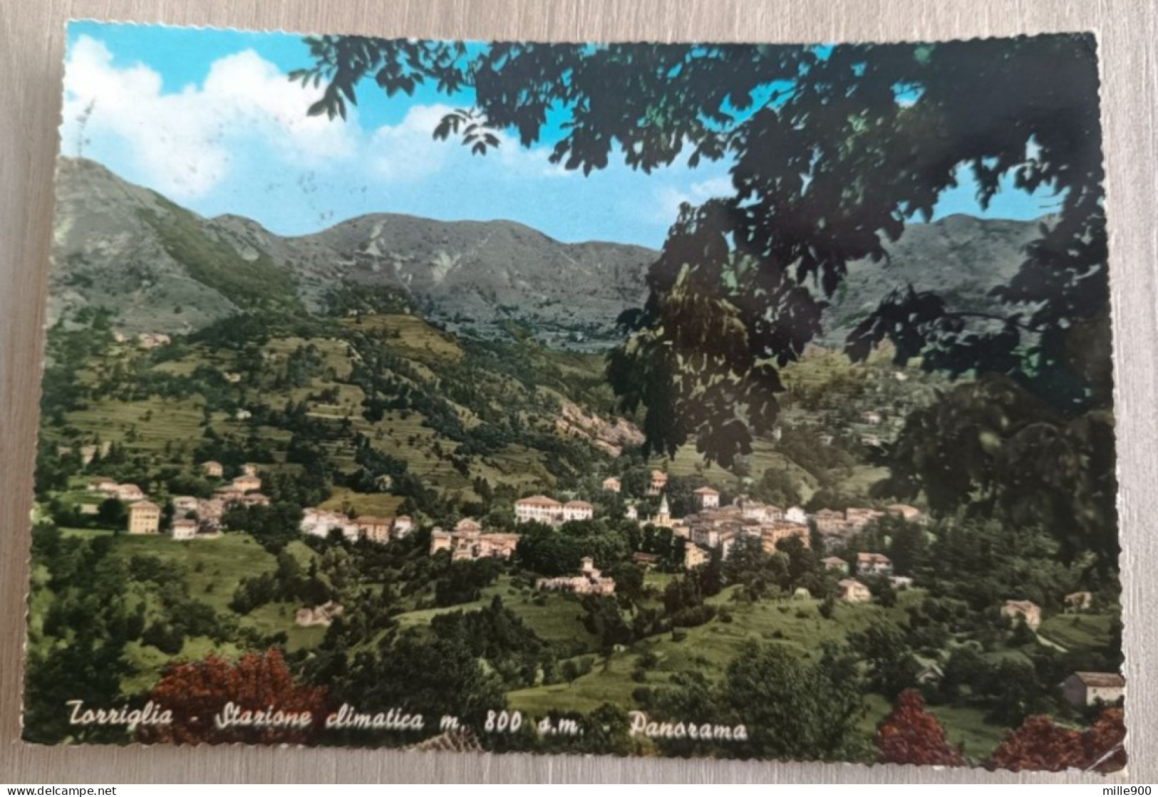 GENOVA - Torriglia Panorama - Genova (Genua)