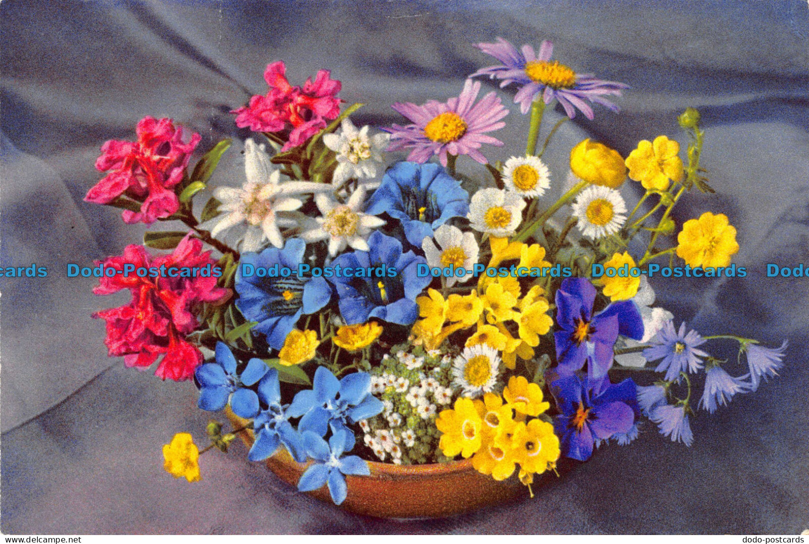 R064521 Alpine Flowers. Gyger - Monde