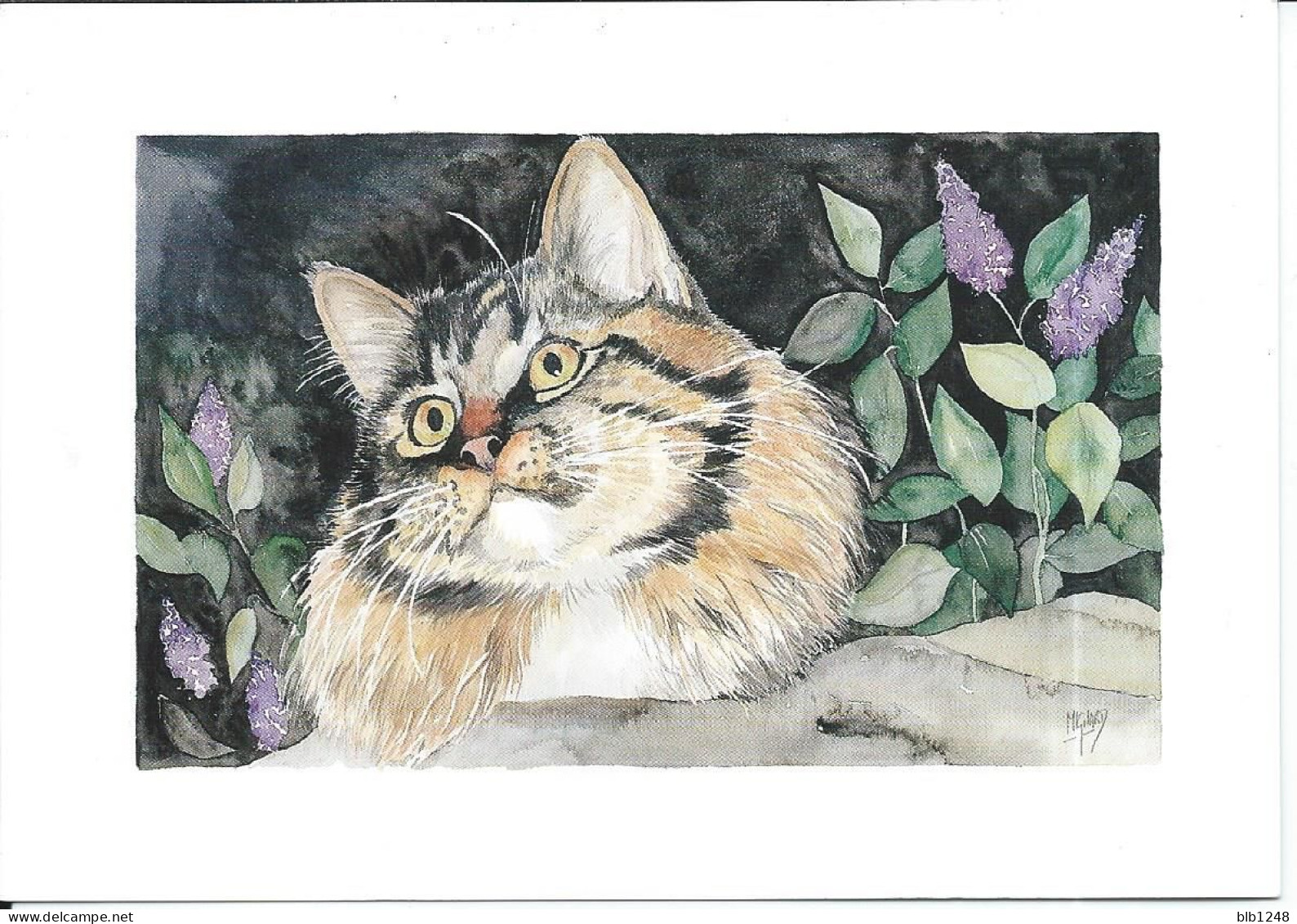 Carte  Le Chat Aquarelle De Patrick Mignard - Katzen