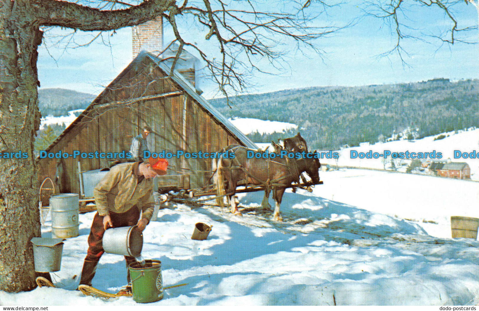 R063974 Maple Sugar Time In Vermont. 1976 - Monde