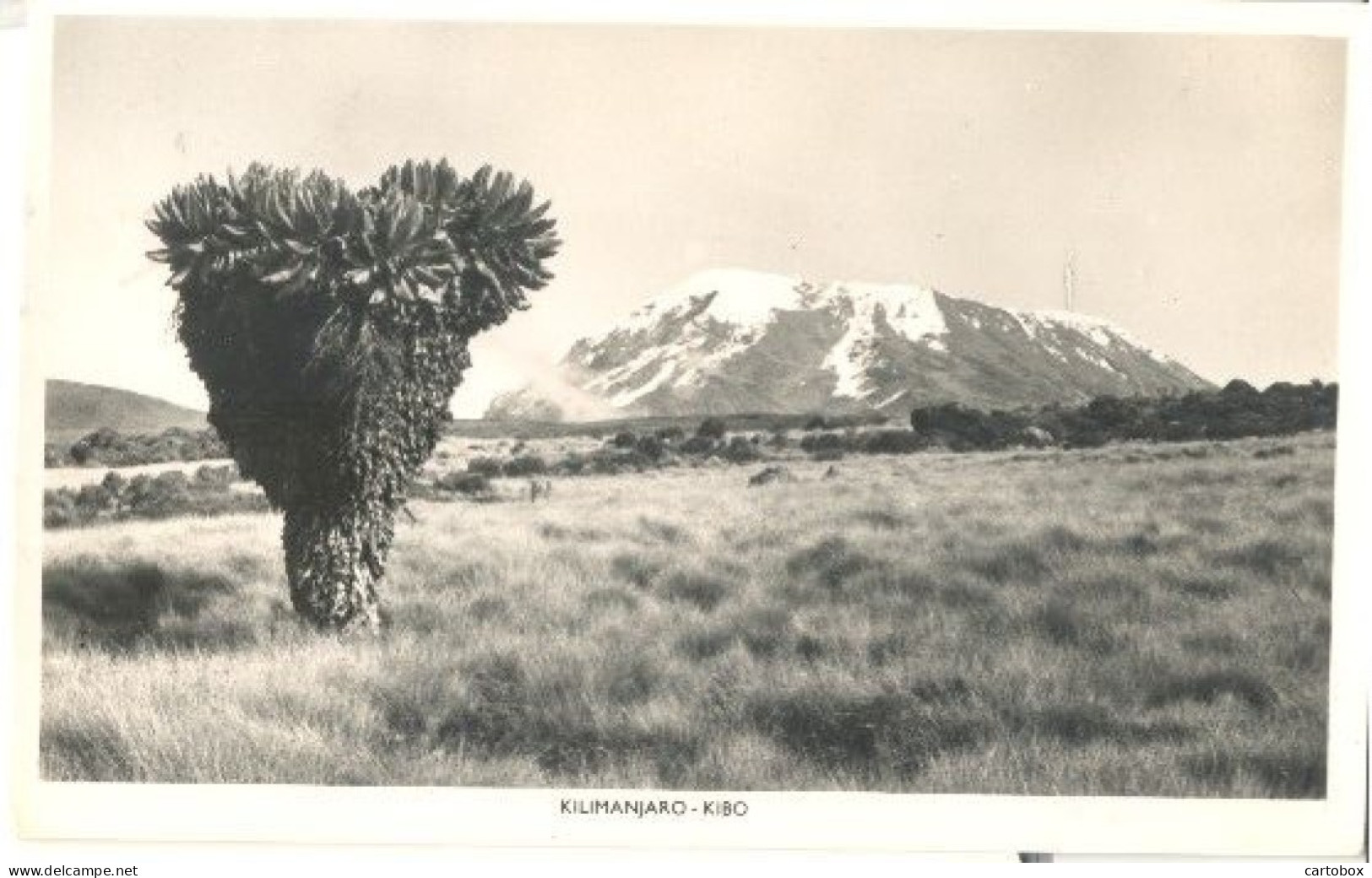 Kilimanjaro, Kibo   (2 X Scan)  (type Fotokaart) - Tansania