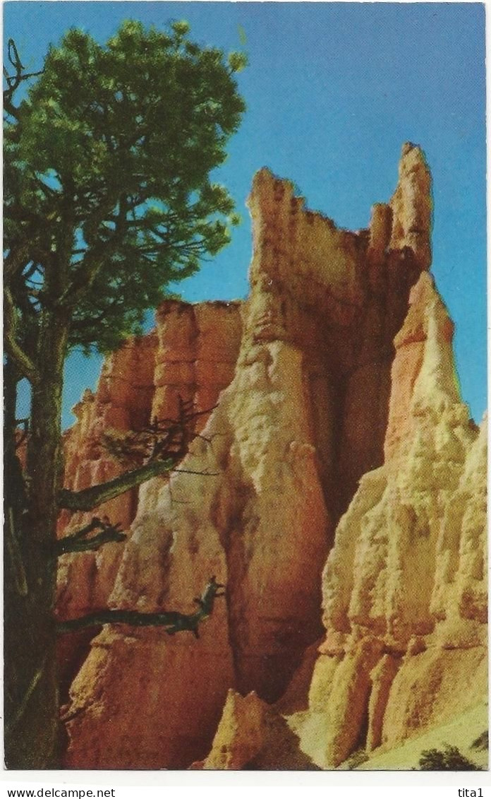 90 - Bryce Canyon National Park (9 cartes)