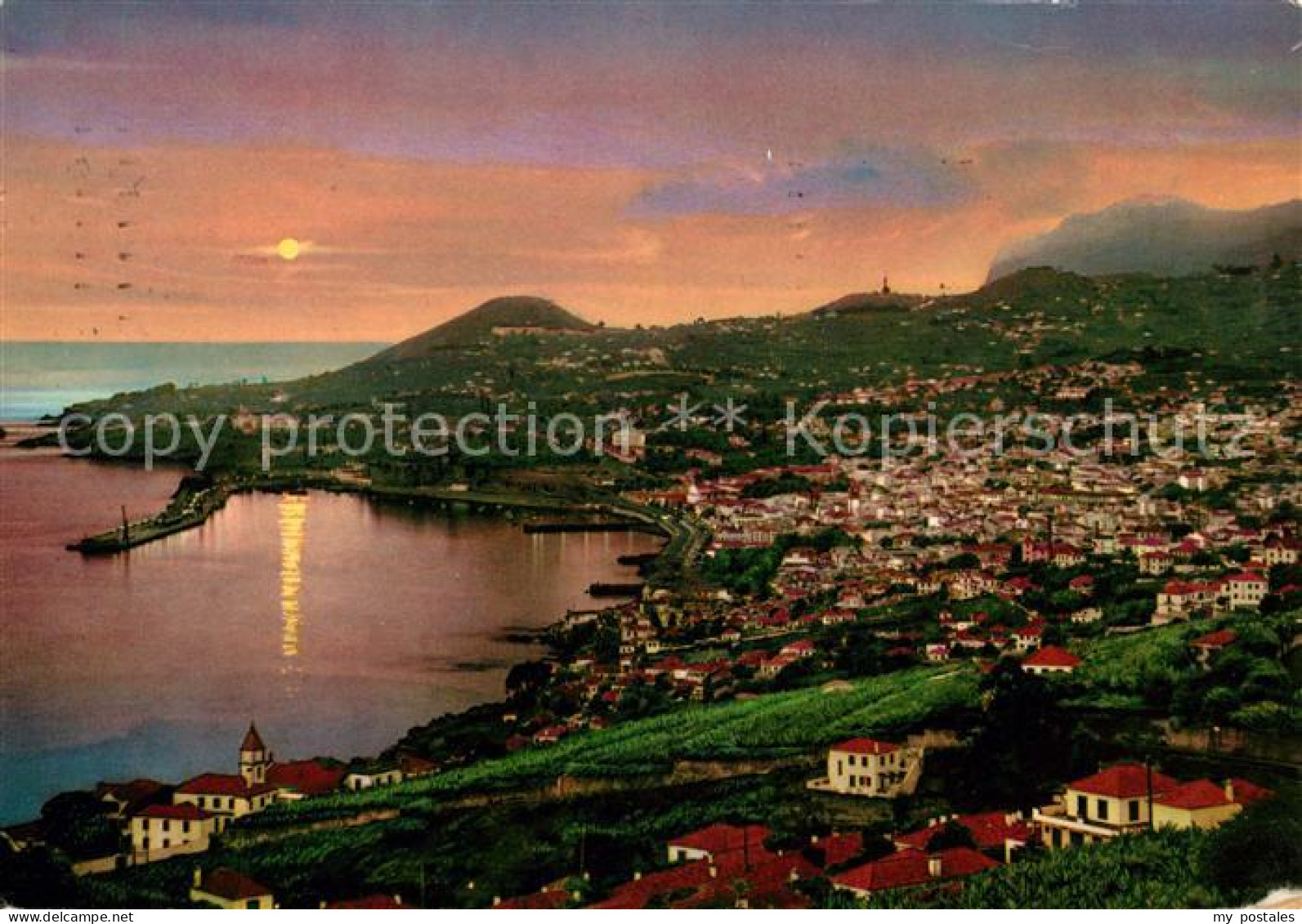 73071192 Madeira Funchal  Madeira - Sonstige & Ohne Zuordnung