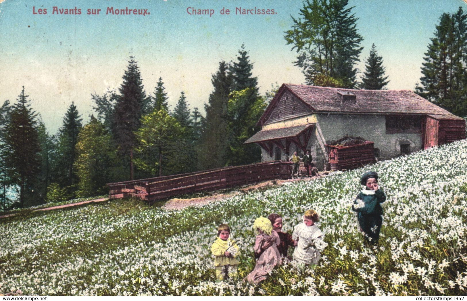 MONTREUX, GENEVA, CHILDREN, ARCHITECTURE, FIELD OF FLOWERS, SWITZERLAND, POSTCARD - Other & Unclassified