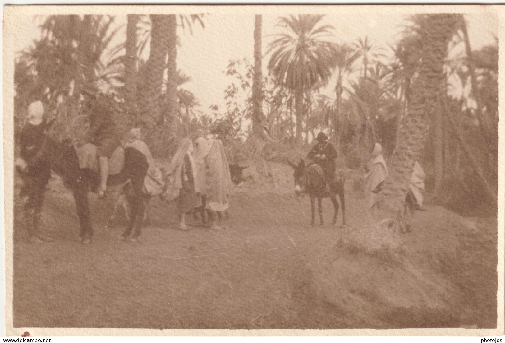 Photo Albuminée  Format CP  Tozeur  (Tunisie)  A Dos D'âne Dans L'Oasis   En 1927 - Afrika