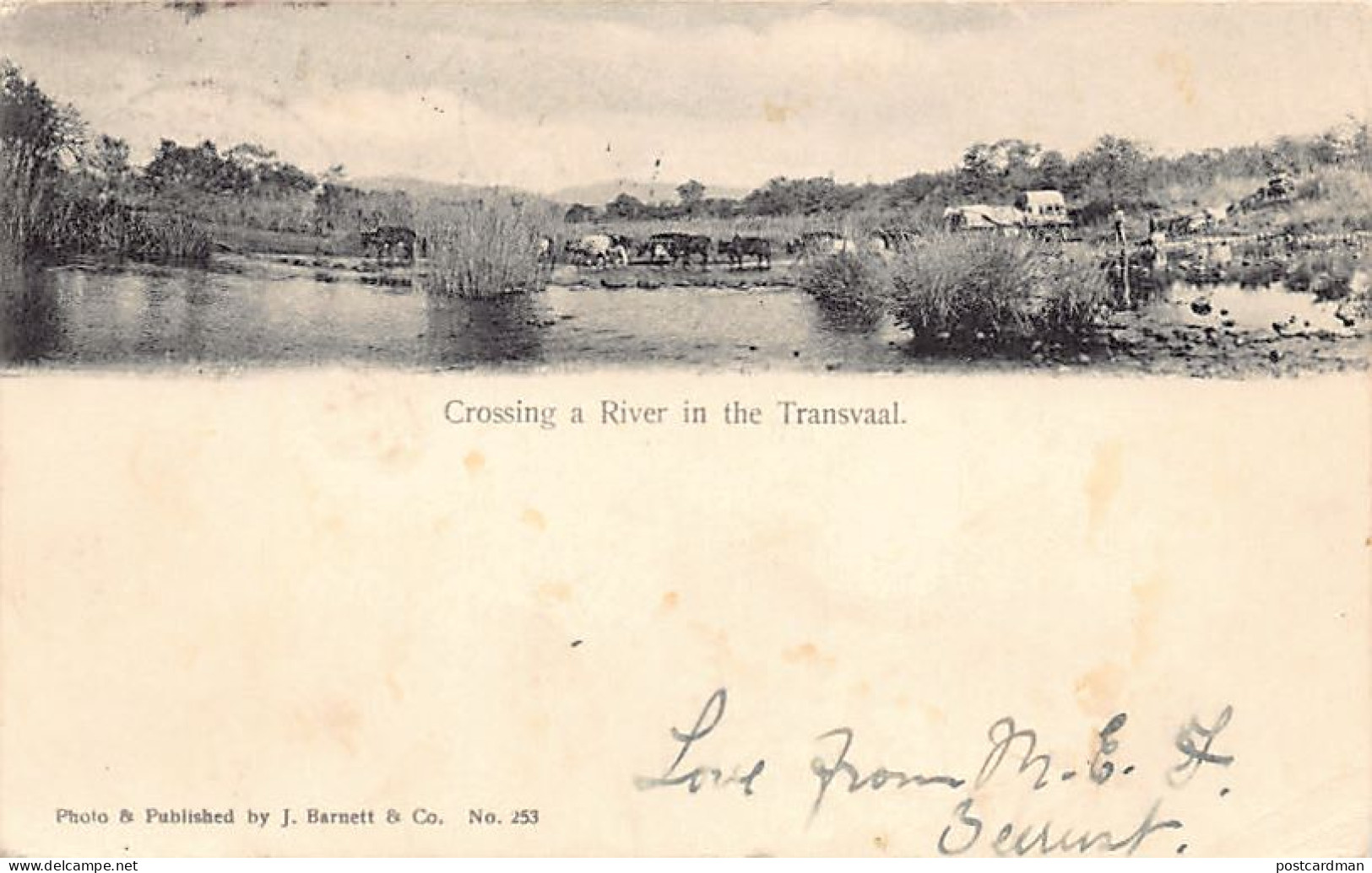 South Africa - Crossing A River In The Transvaal - Publ. J. Barnett & Co. 253 - Südafrika