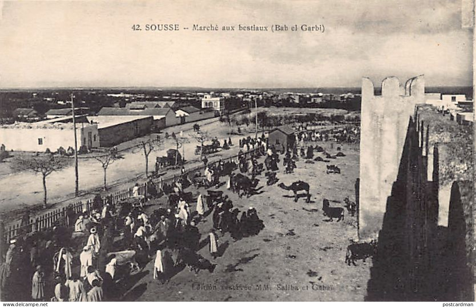 Tunisie - SOUSSE - Marché Aux Bestiaux (Bab El Garbi) - Ed. Saliba & Gabaï 3 - Túnez