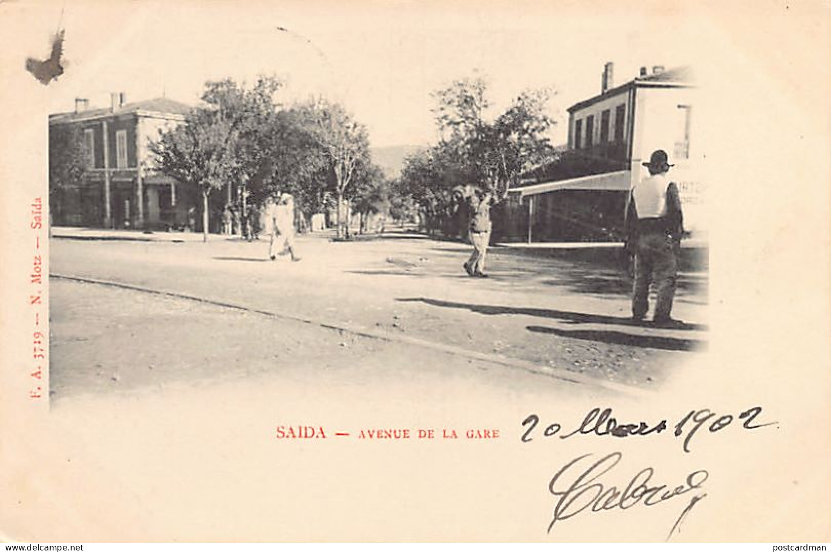 Algérie - SAÏDA - Avenue De La Gare - Ed. N. Motz  - Saida