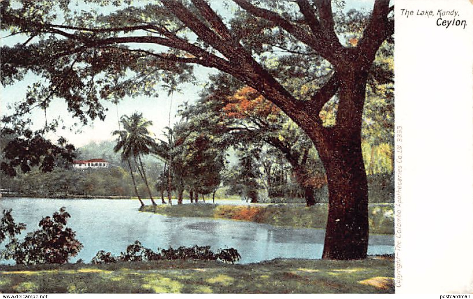 Sri Lanka - KANDY - The Lake - Publ. The Colombo Apothecaries Co. Ltd. 3393 - Sri Lanka (Ceylon)