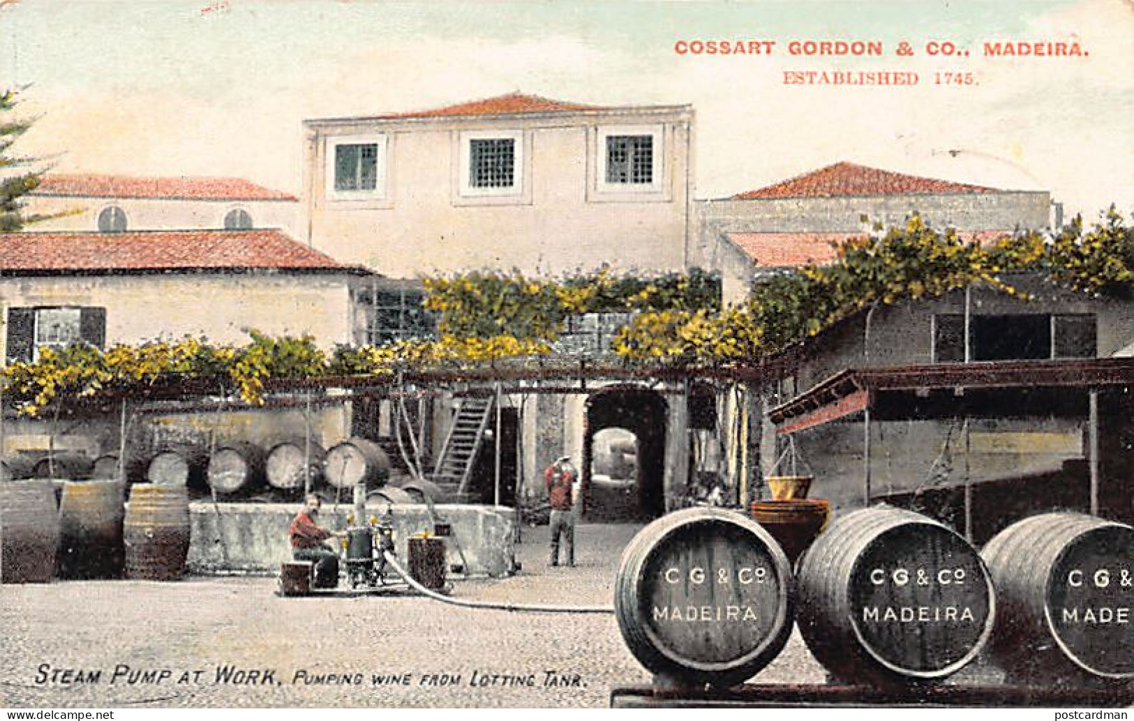 Madeira - Bomba De Vapor Em Funcionamento, Bombeando Vinho - Cossart Gordon & Co - Madeira