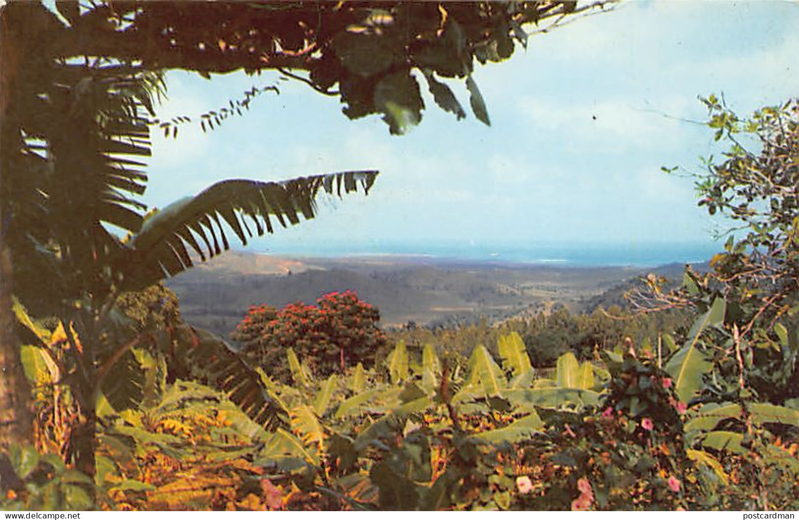 Puerto Rico - El Yunque - Ed. Rahola 17 - Puerto Rico