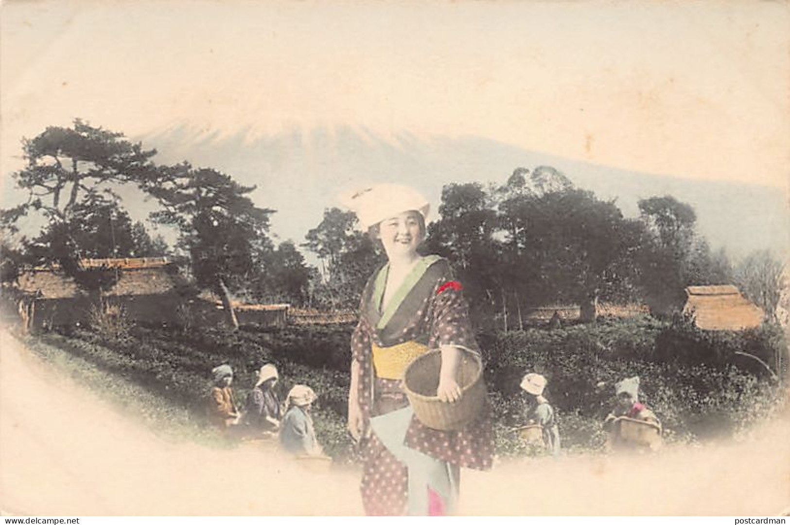 Japan - Girls Picking Tea Leaves - Mount Fuji In Background - Other & Unclassified
