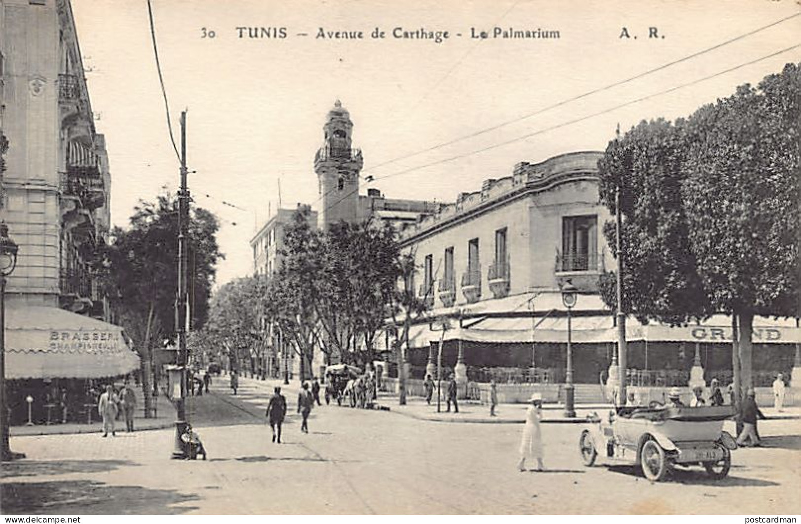 Tunisie - TUNIS - Avenue De Carthage - Le Palmarium - Brasserie Champigneulles - Ed. A. R. 30 - Tunesië