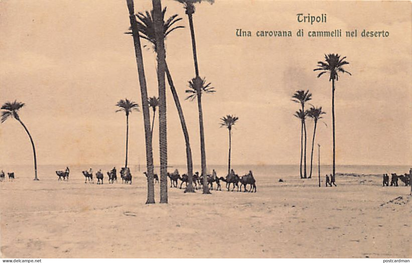Libya - TRIPOLI - A Caravan Of Camels In The Desert - Libyen