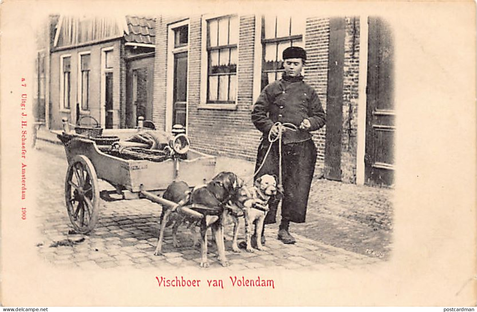 Nederland - VOLENDAM - Vischboer Hondenkar - - Fisherman Dog Cart - - Voiture à Chien Poissonier - Volendam