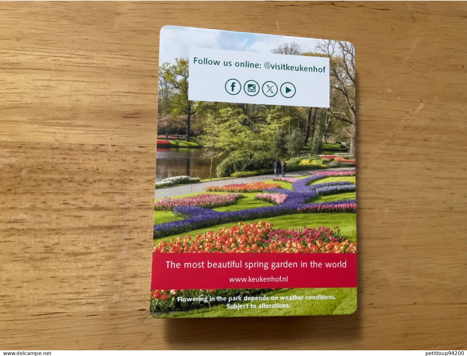 DÉPLIANT Touristique KEUKENHOF  Parc Floral  HOLLAND  Tulipes - Toeristische Brochures