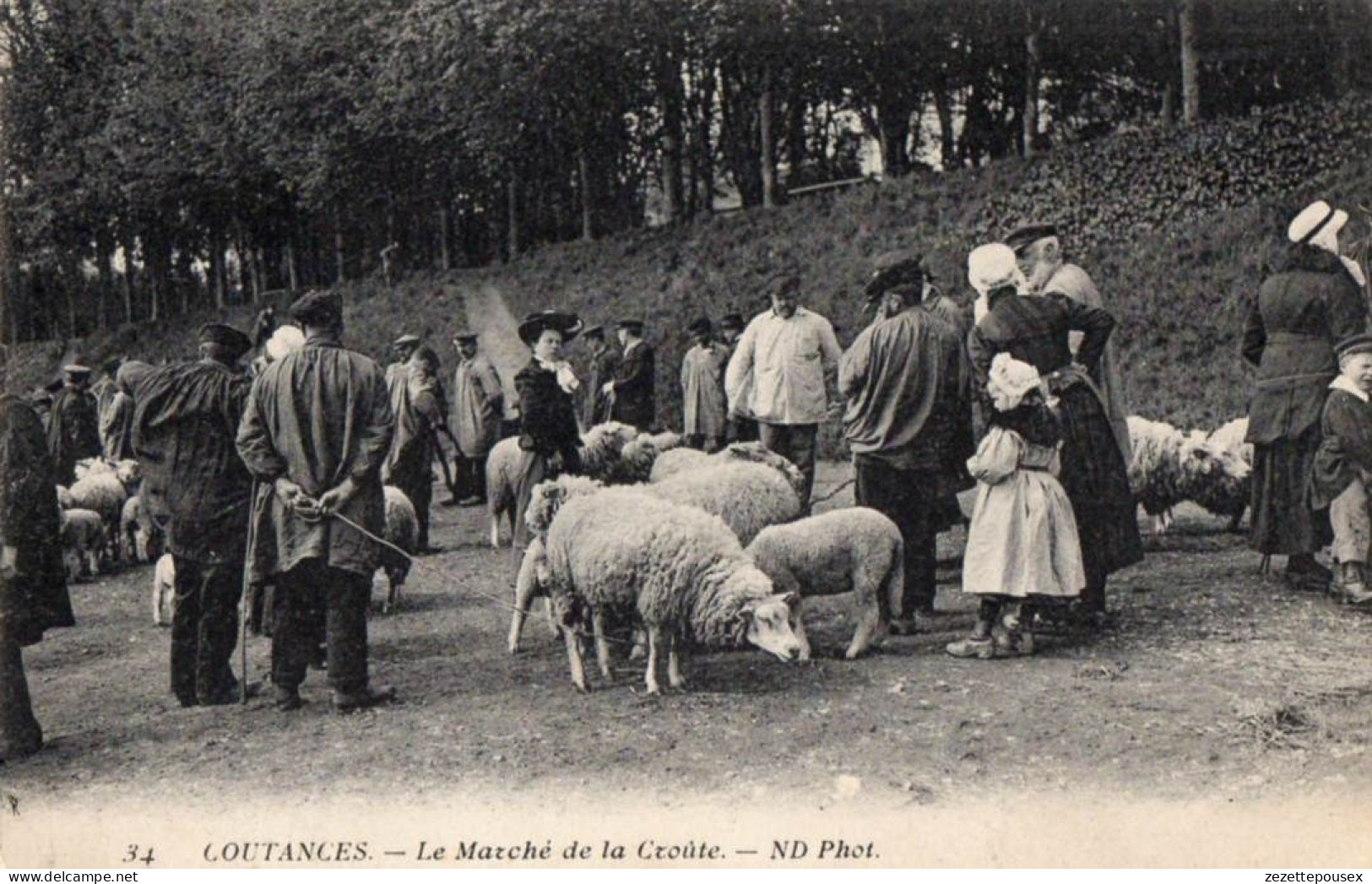 38023-ZE-50-COUTANCES-Le Marché De La Croûte----------------animée-moutons - Coutances