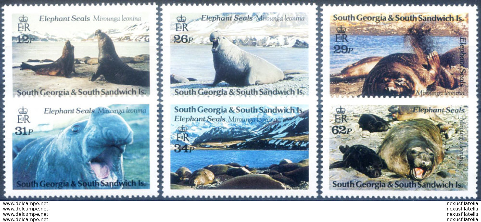 South Georgia. Fauna. Elefante Di Mare 1991. - Falkland Islands