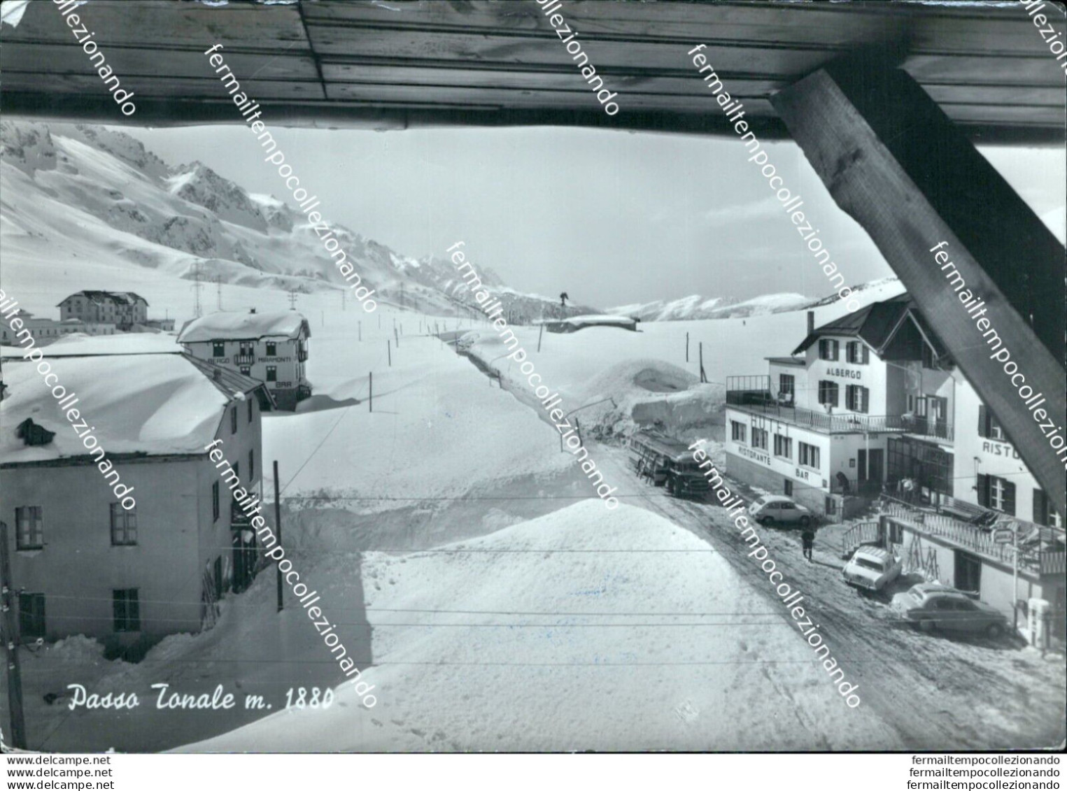 Bm190 Cartolina Passo Tonale Provincia Di Trento - Trento