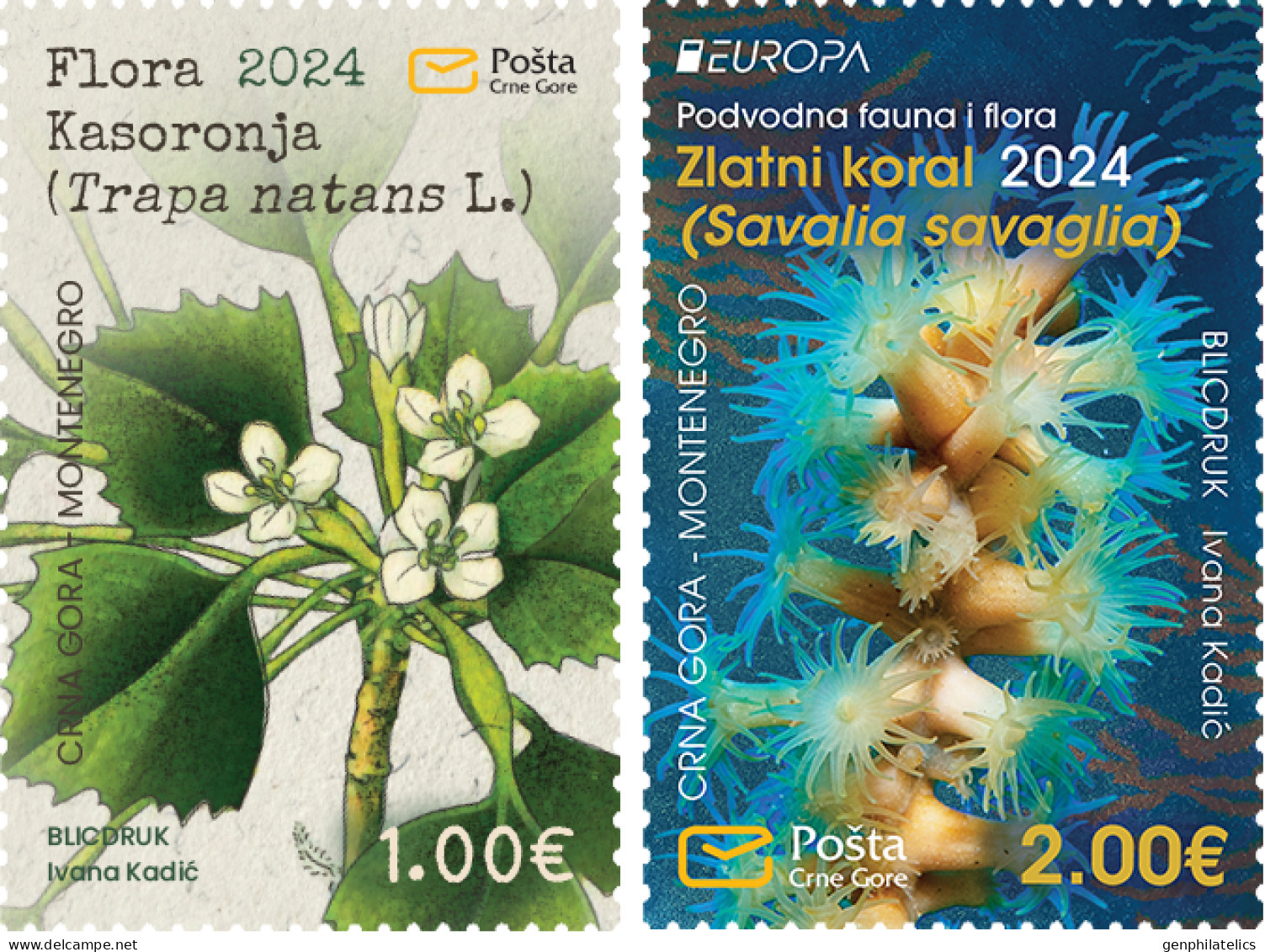 MONTENEGRO 2024 Europa CEPT. Underwater Fauna & Flora - Fine Set MNH - Montenegro