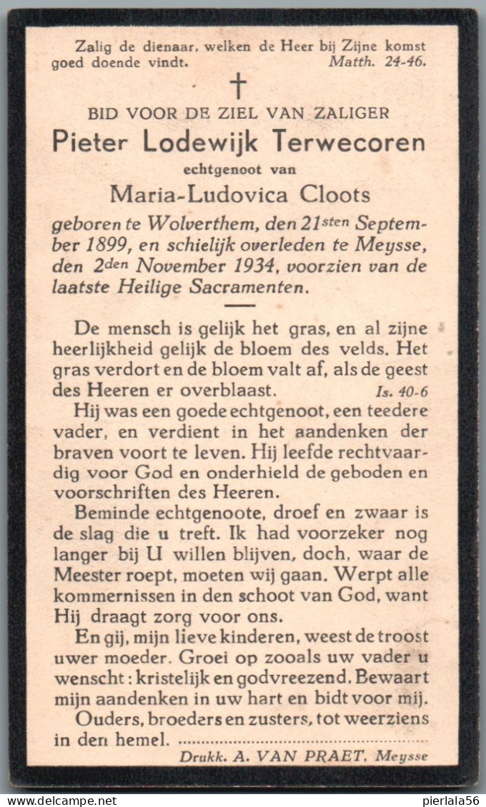 Bidprentje Wolvertem - Terwecoren Pieter Lodewijk (1899-1934) - Devotion Images