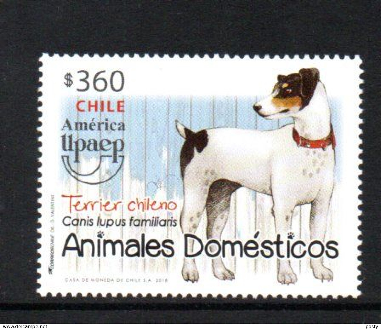 CHILI - CHILE - 2018 - ANIMAUX DOMESTIQUES - DOMESTIC ANIMALS - DOGS - CHIENS - HUNDE - - Cile