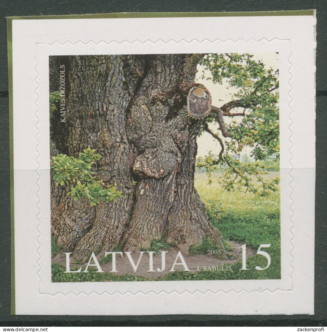 Lettland 2005 Naturschutz Eiche Von Kaive 638 Postfrisch - Latvia