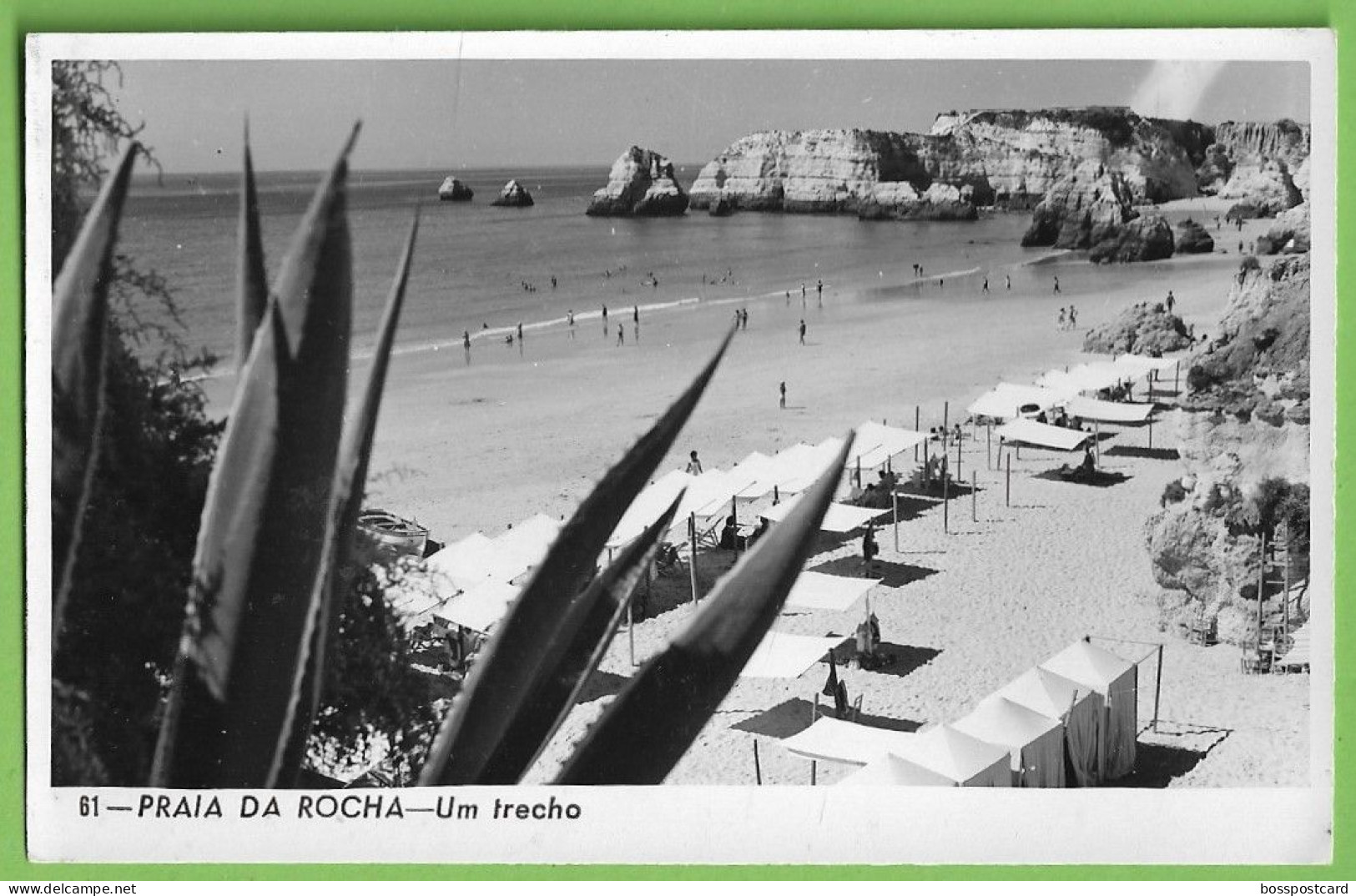 Portimão - Praia Da Rocha - Um Trecho. Faro. Portugal (Fotográfico) - Faro