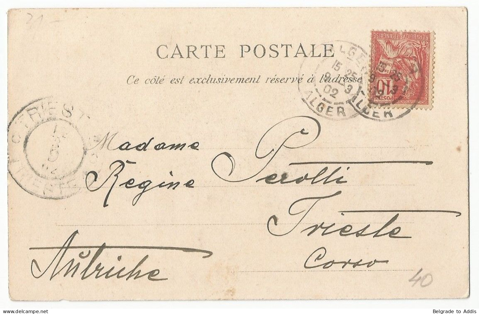 France Austria Italy Algeria Postcard From Alger To Trieste 1902 On Board Of S.M. Schiff "Budapest" K.u.K. Kriegsmarine - Storia Postale