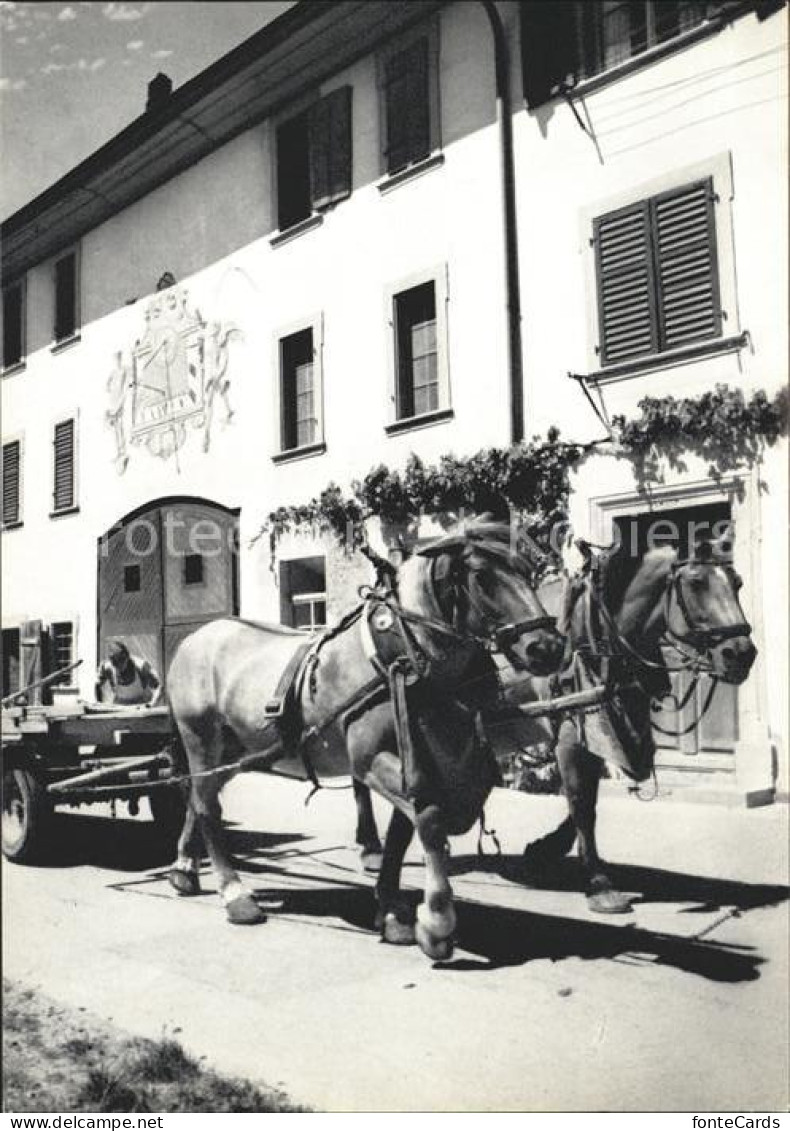 11629814 Neunkirch Bauernhof Pferdefuhrwerk Neunkirch - Autres & Non Classés