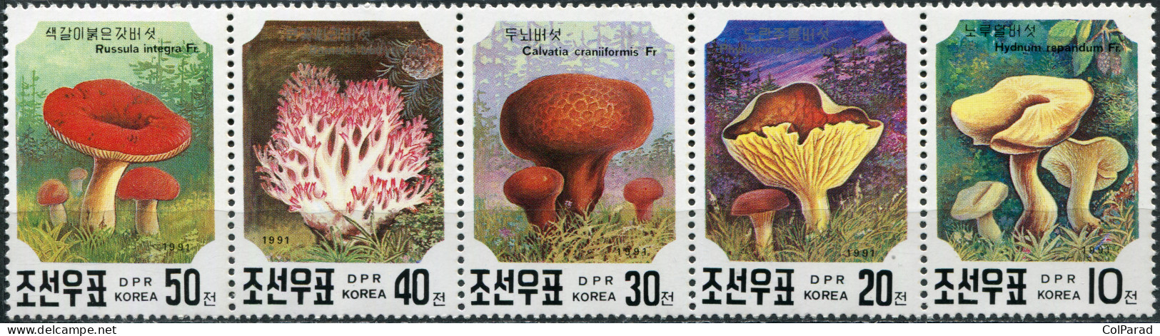 NORTH KOREA - 1991 - BLOCK OF 5 STAMPS MNH ** - Mushrooms - Corée Du Nord