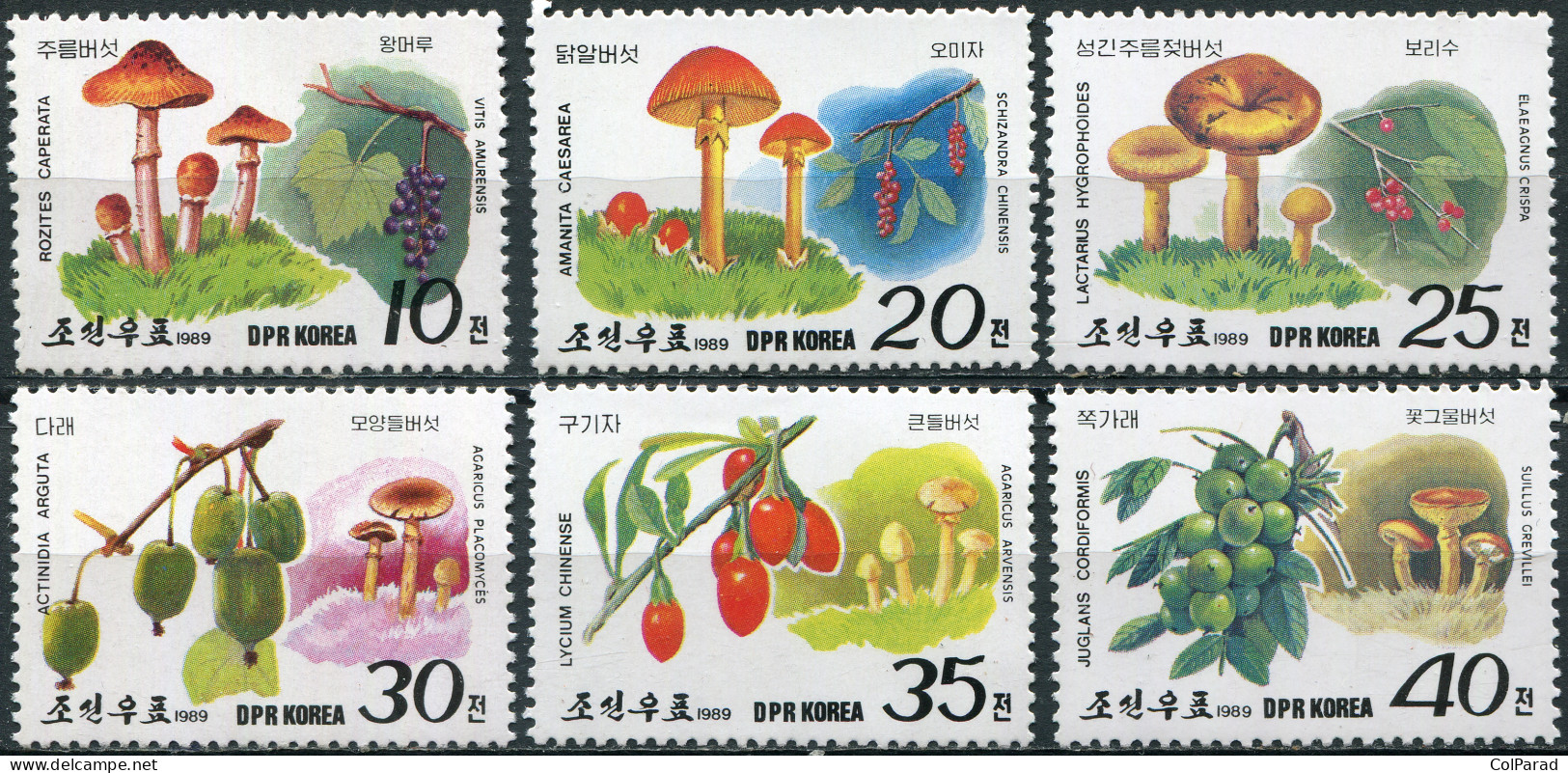 NORTH KOREA - 1989 - SET OF 6 STAMPS MNH ** - Mushrooms And Berries - Corée Du Nord