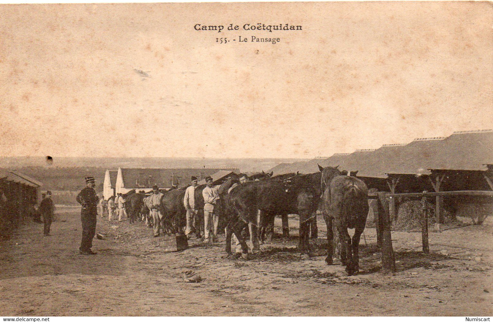 Camp De Coëtquidan Très Animée Le Pansage Chevaux Militaria - Guer Coetquidan