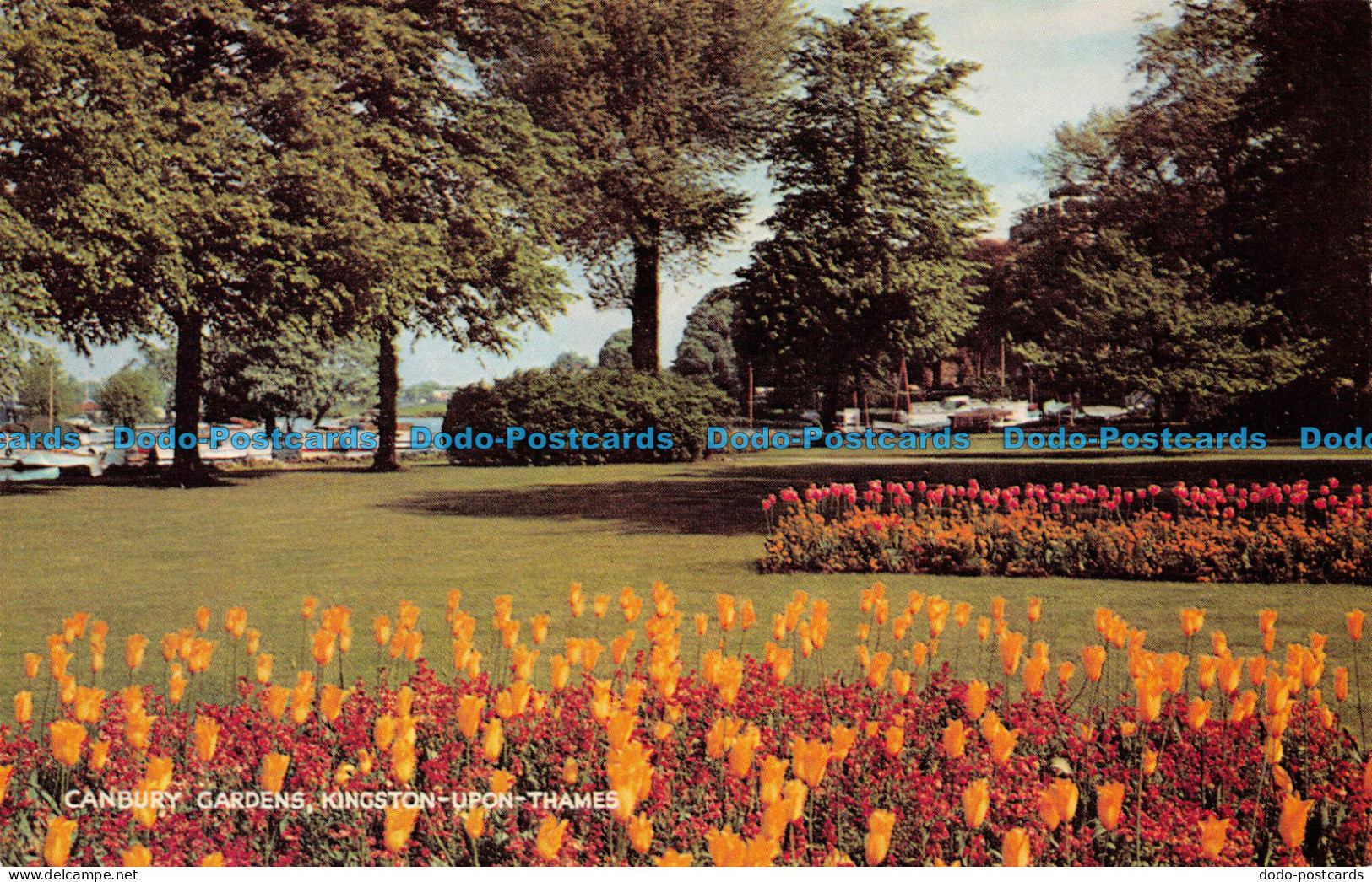 R064664 Canterbury Gardens. Kingston Upon Thames. Salmon - World