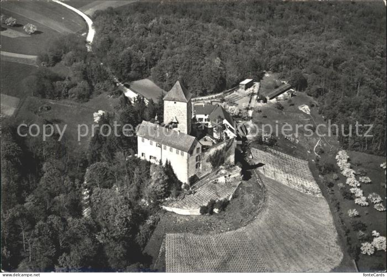 11629469 Stetten SH Schloss Herblingen Fliegeraufnahme Serie Arts Et Antiquites  - Autres & Non Classés