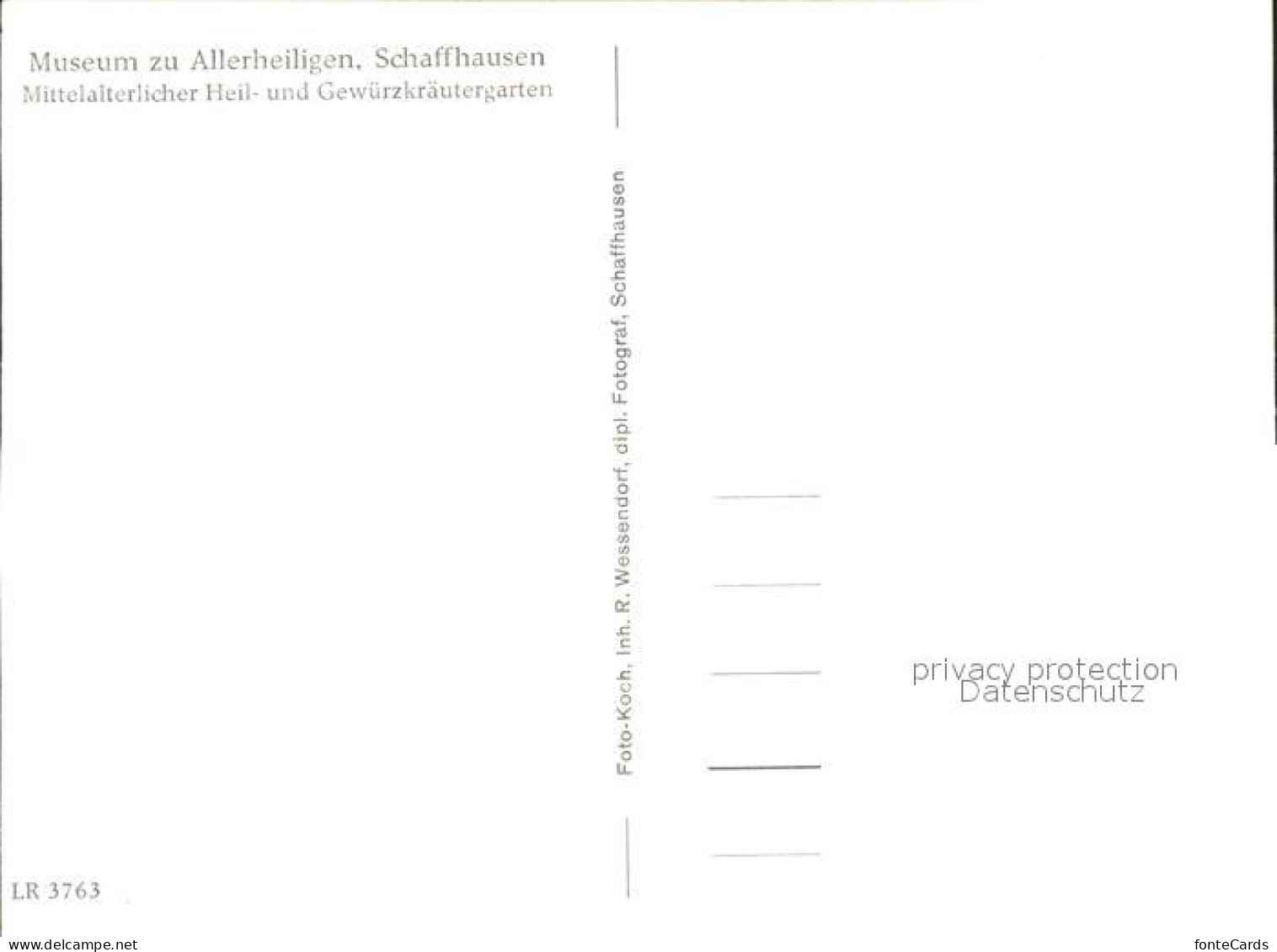 11629397 Schaffhausen SH Museum Zu Allerheiligen Mittelalterlicher Heilkraeuter  - Autres & Non Classés