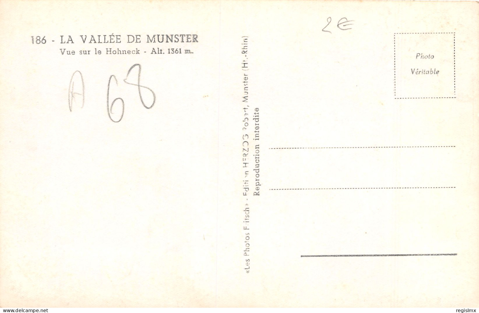 68-VALLEE DE MUNSTER-N°T2539-F/0047 - Other & Unclassified