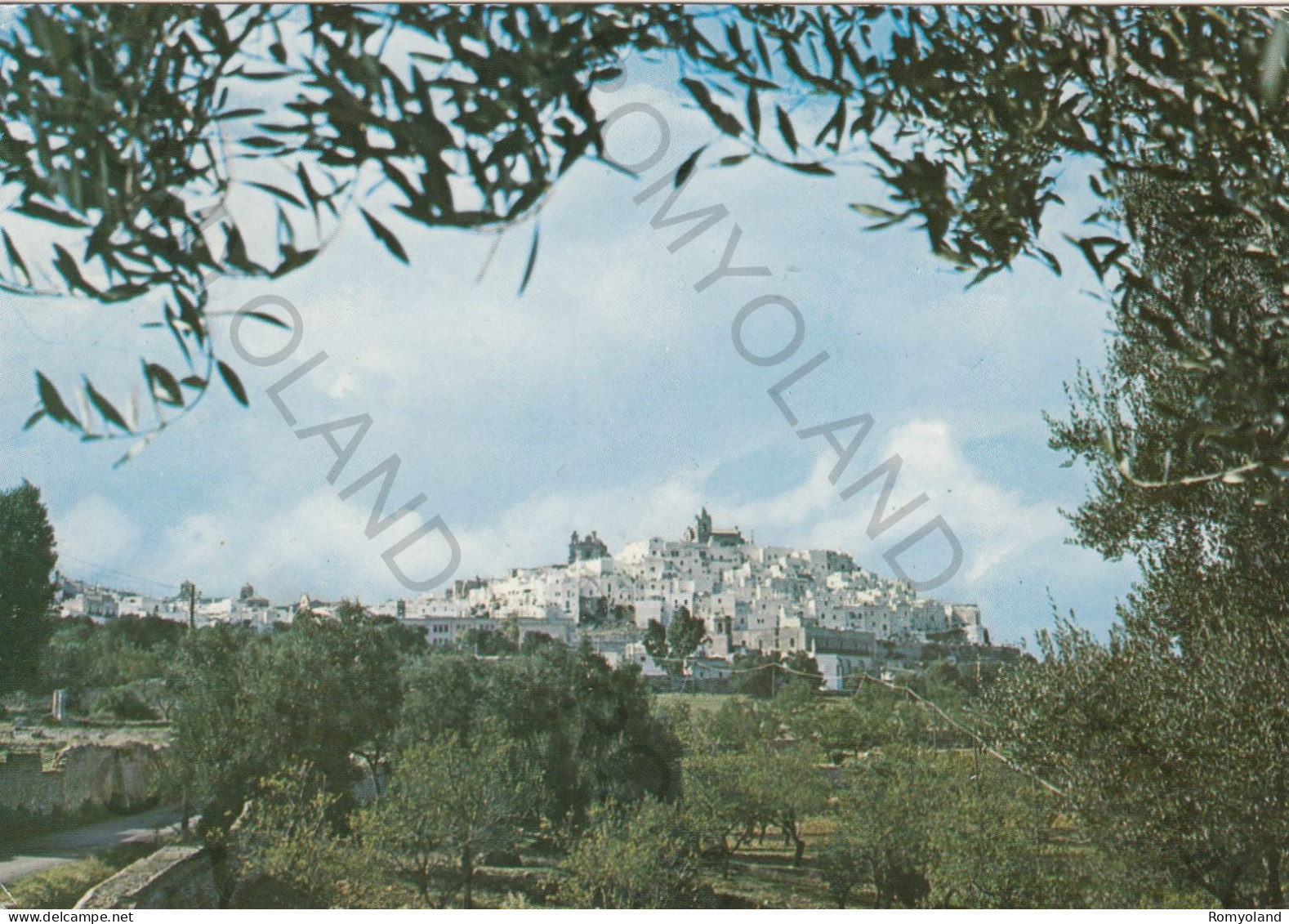 CARTOLINA  C12 OSTUNI,BRINDISI,PUGLIA-PANORAMA-MEMORIA,CULTURA,RELIGIONE,IMPERO ROMANO,BELLA ITALIA,VIAGGIATA 1981 - Napoli (Neapel)