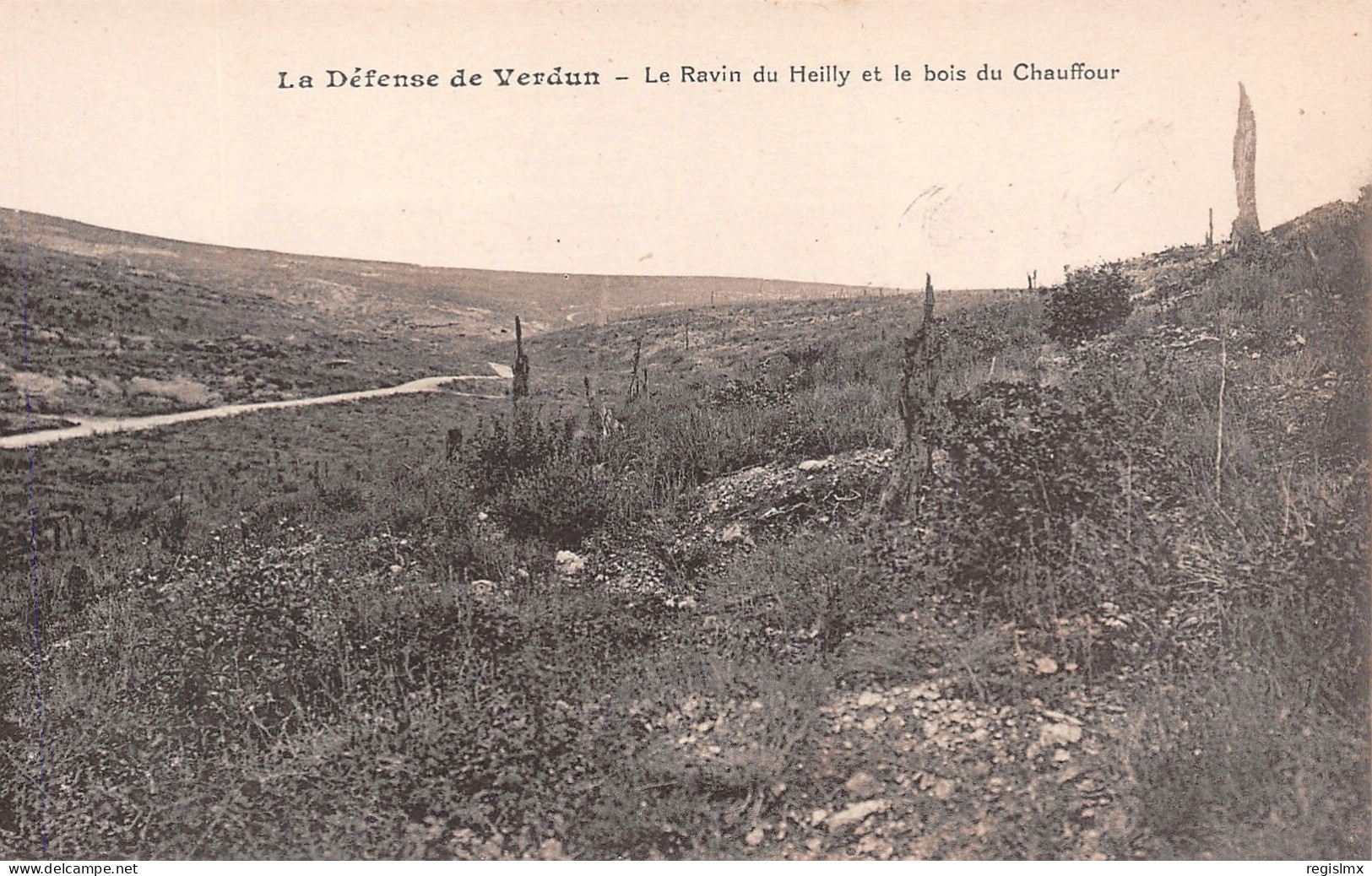 55-DOUAUMONT RAVIN DU HEILLY-N°T2542-E/0165 - Douaumont