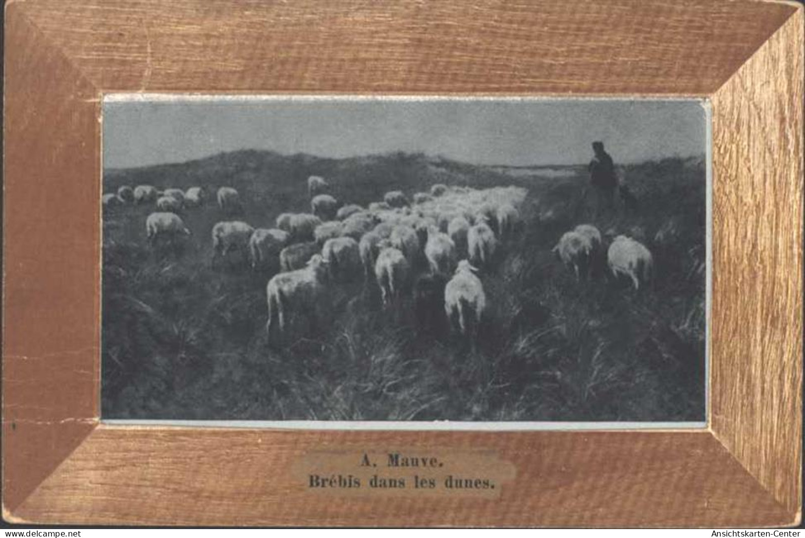 13809808 - Schafe In Den Duenen,Brebis Dans Les Dunes, A. Mauve,  Folienpatent-AK, Bild Geschuetzt Unter Folie, Sehr Au - Other & Unclassified