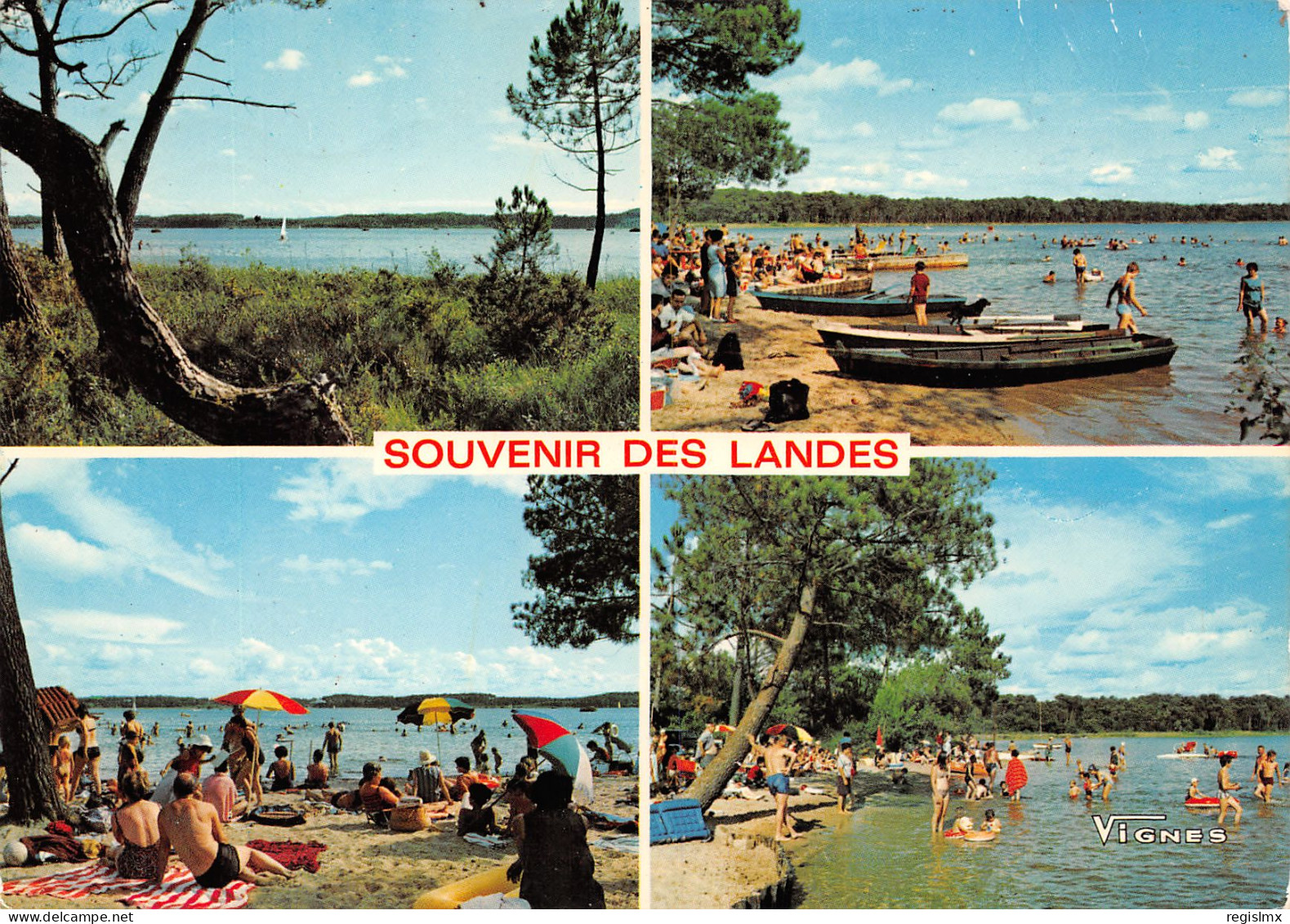 40-LES LANDES PAYSAGES-N°T2544-E/0029 - Other & Unclassified