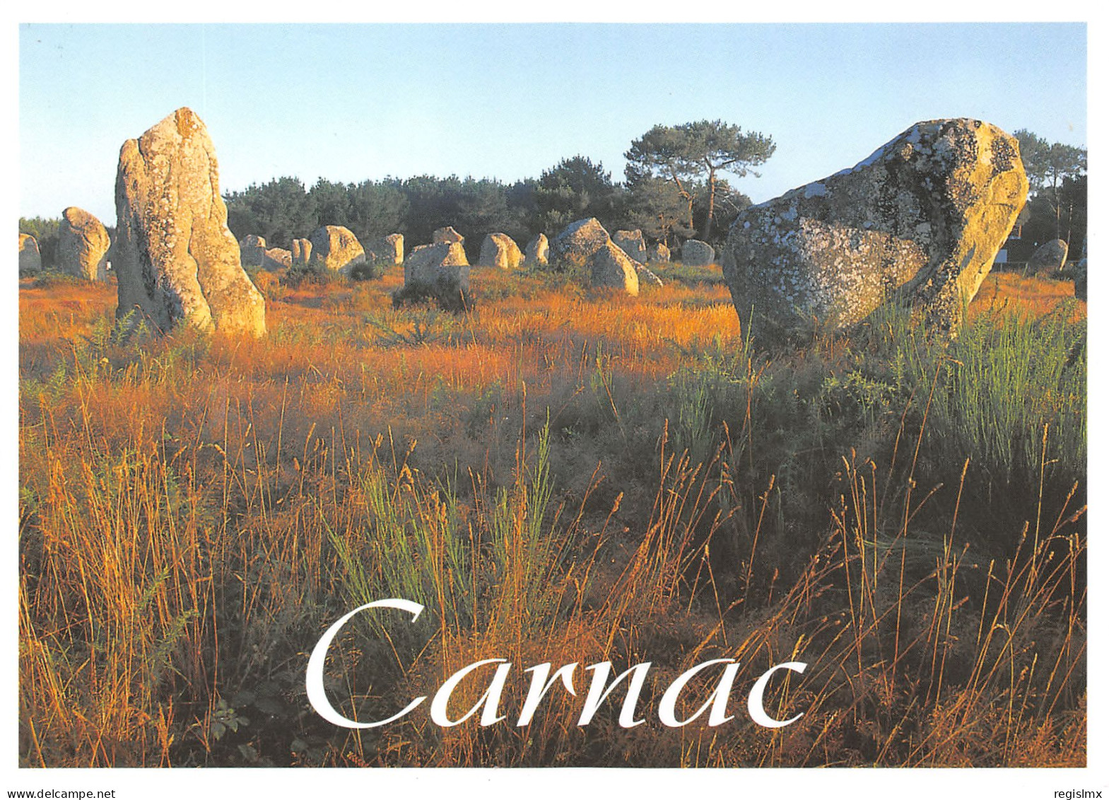56-CARNAC-N°T2544-D/0049 - Carnac