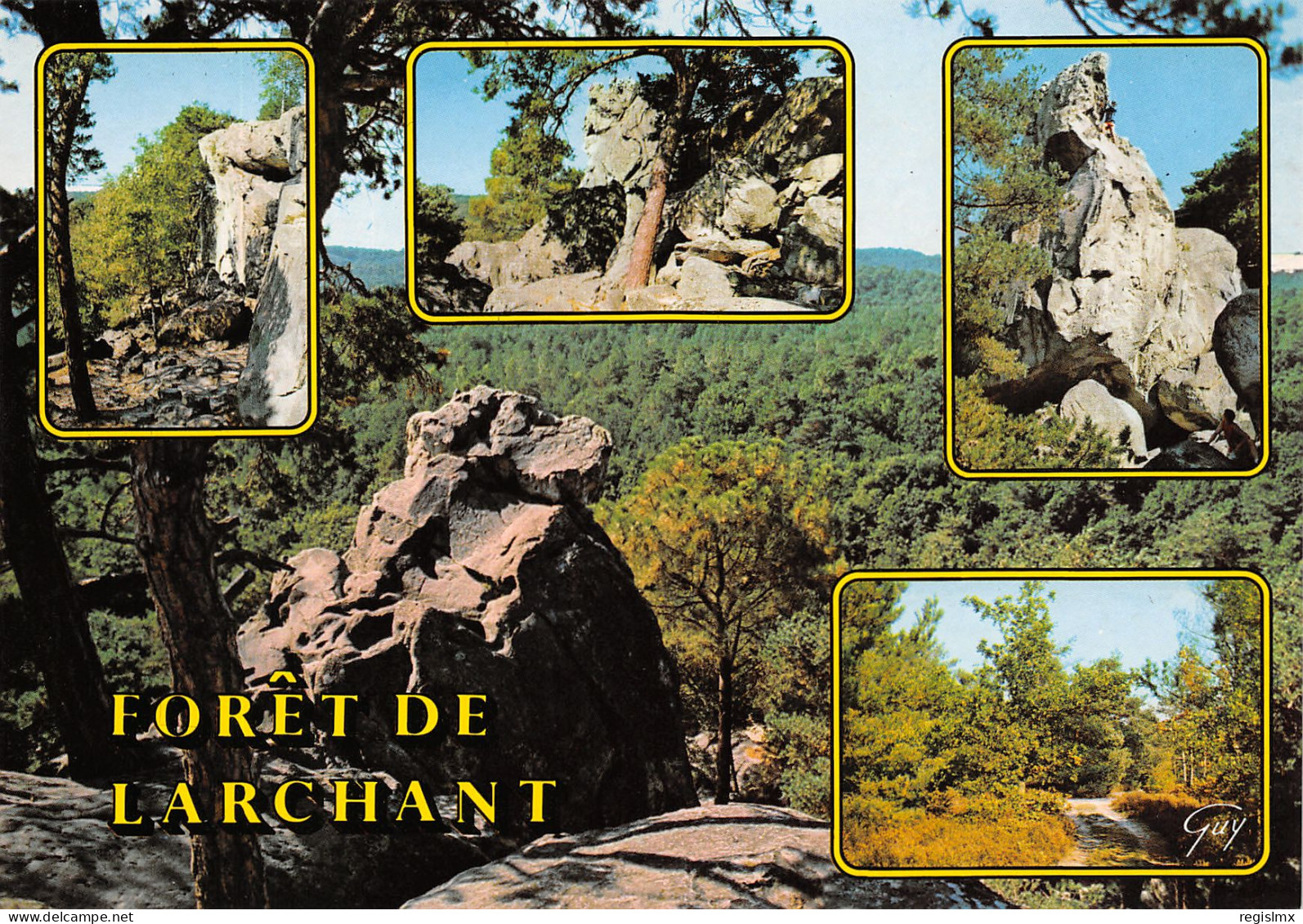 77-LARCHANT LA FORET-N°T2545-A/0321 - Larchant