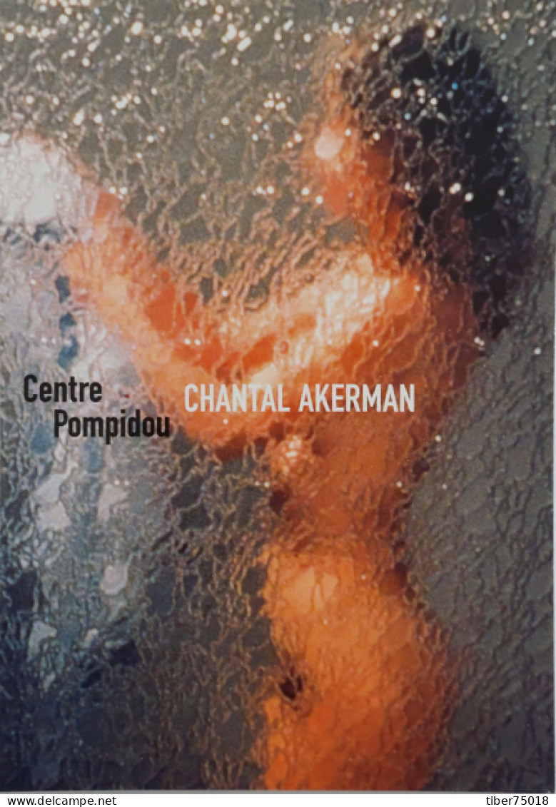 Carte Postale "Cart'Com" (2004) Chantal Akerman (femme Nue Derrière Une Vitre) Rétrospective - Centre Pompidou - Werbepostkarten