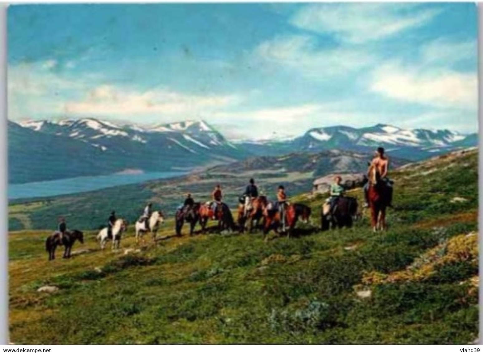 TROLLHEIMEN. -  Riding To The Mountains. - Norway