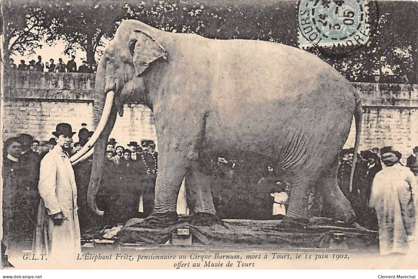 OUSSIERES - L'Eléphant Fritz Offfert Au Musée De Tours - Très Bon état - Tours